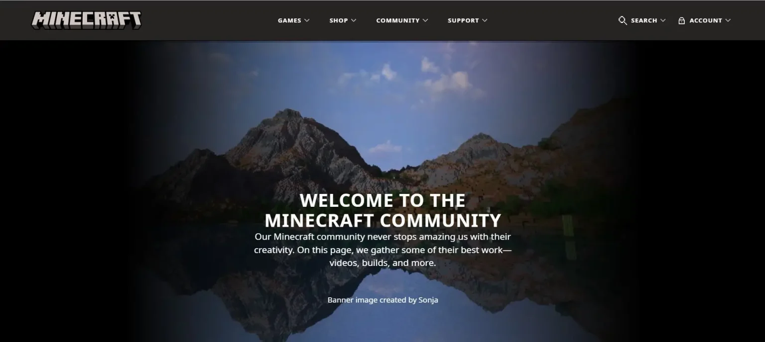 Minecraft Community