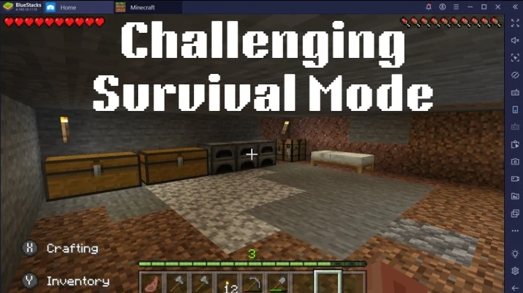 Challenging Survival Mode