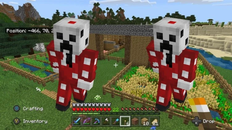 Customization of Skins